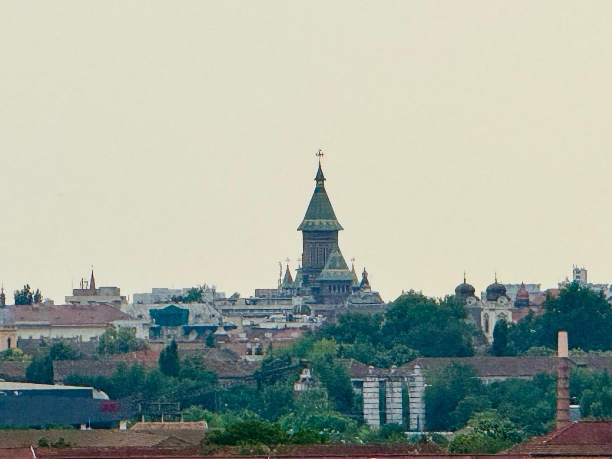 Joy City Stay Forest 84 Timisoara Luaran gambar